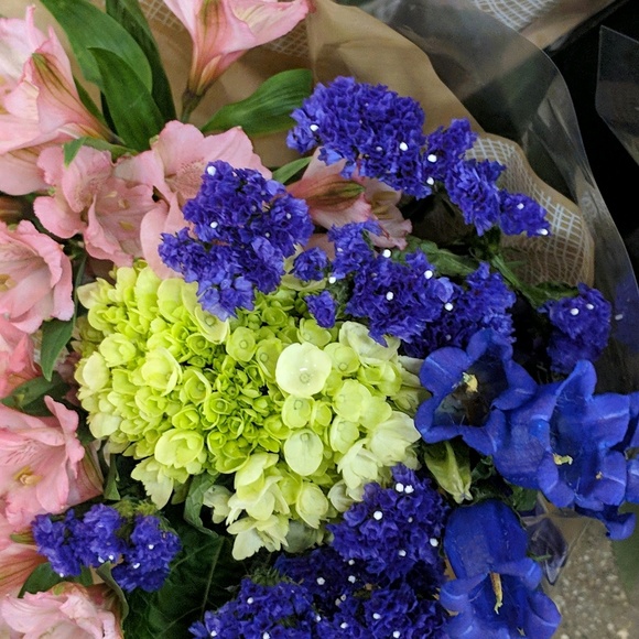 Meet your Posher, Lula - Picture 1 of 1